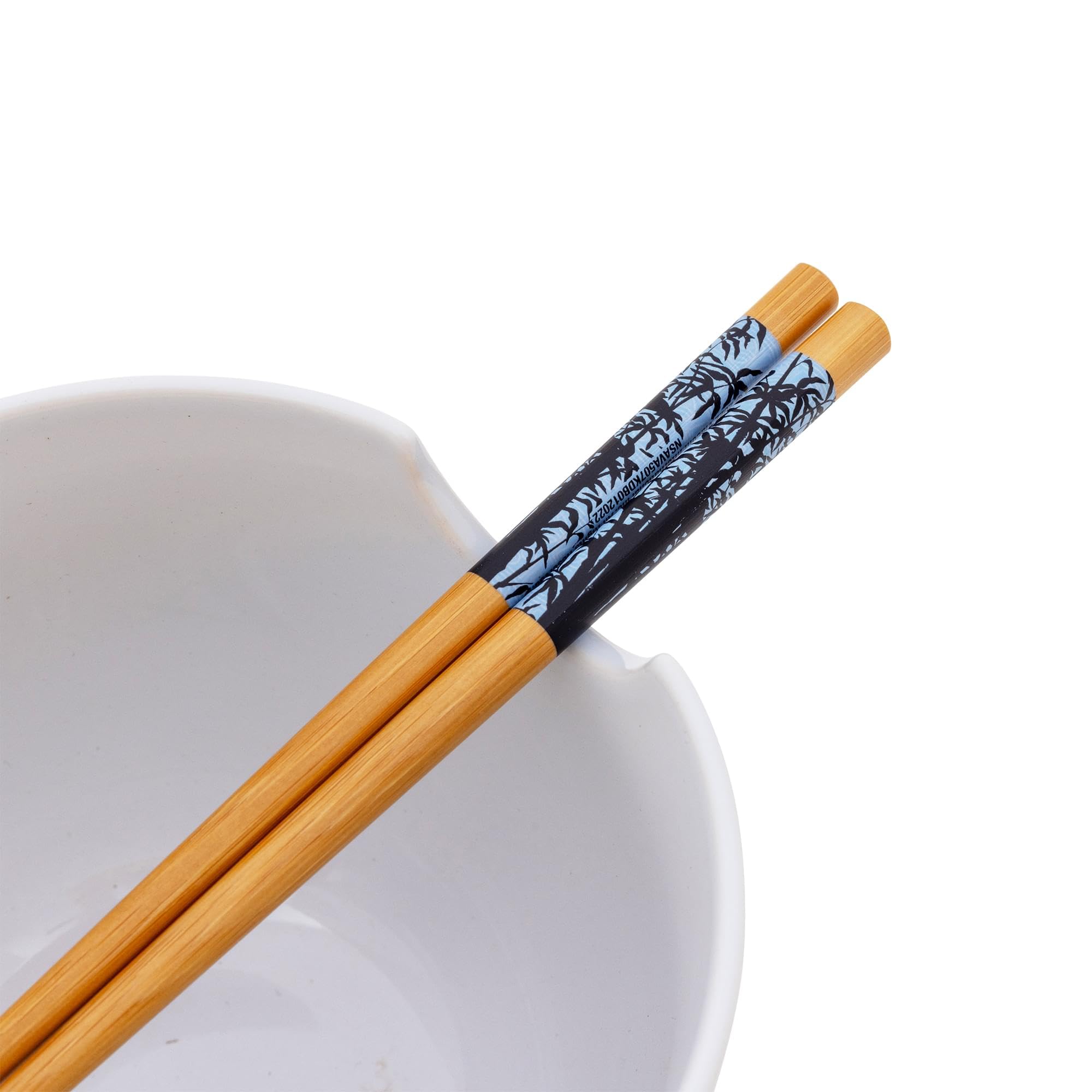 Avatar: The Last Airbender Aang and Appa Ramen-Geschirr-Set, Keramik, inkl. Nudelschale und Essstäbchen aus Holz, 590 ml