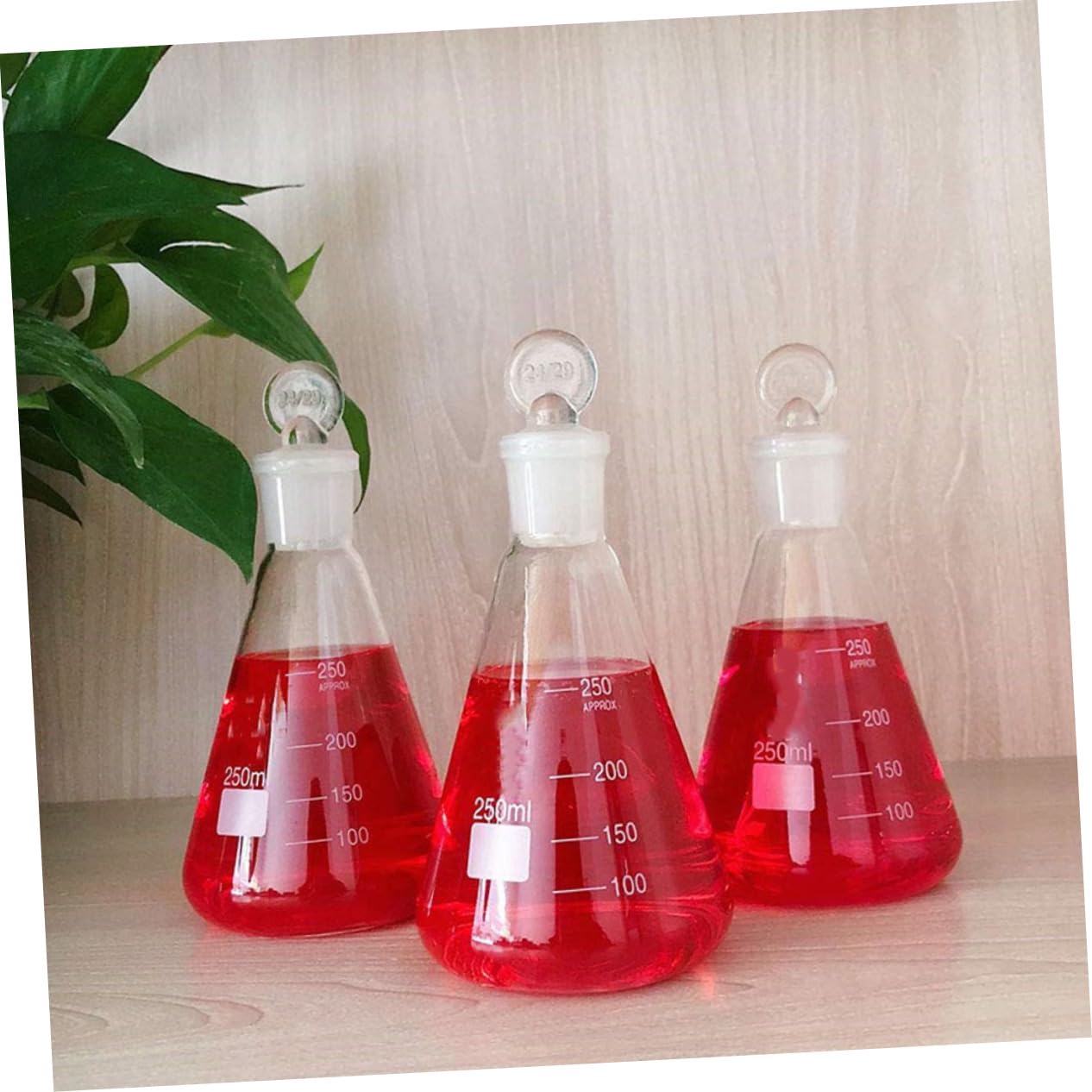 SOLUSTRE 3piezas Matraz Erlenmeyer con Tapón de Vidrio para Experimentos Herramientas Escolares Cristalería de Laboratorio Matraz Cónico para Experimentos