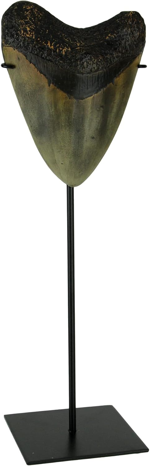 CONTRAST LIVING Mounted Giant 6 Inch Megalodon Shark Tooth Fossil Replica Sculpture Brown