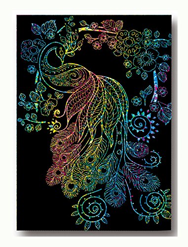 Mammut 158007 - Scraper, Set Completo con 4