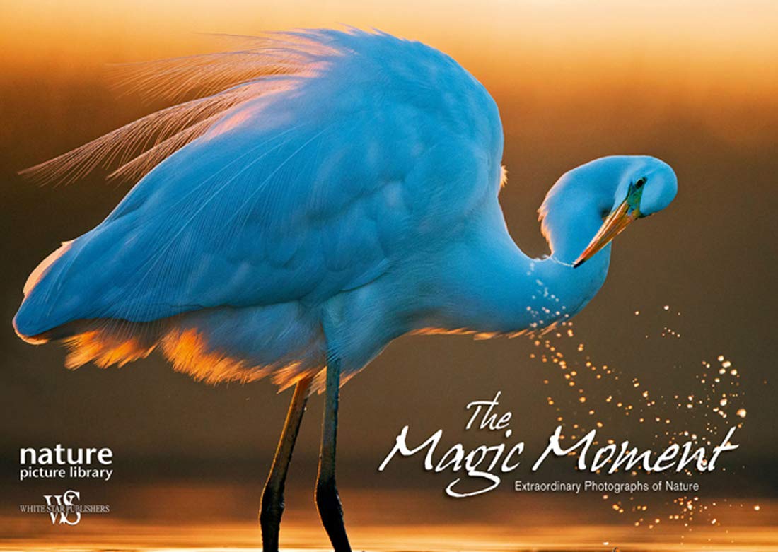 Magic Moment: Extraordinary Photographs of Nature