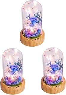 PartyKindom 3Pcs Alto-Falante Portátil Sem Fio Alto-Falante Ao Ar Livre Luz Noturna Portátil Sem Fio Luz Noturna Áudio Alto-Falantes Sem Fio Alto-Falante Luz Noturna Menina Preservada Flor
