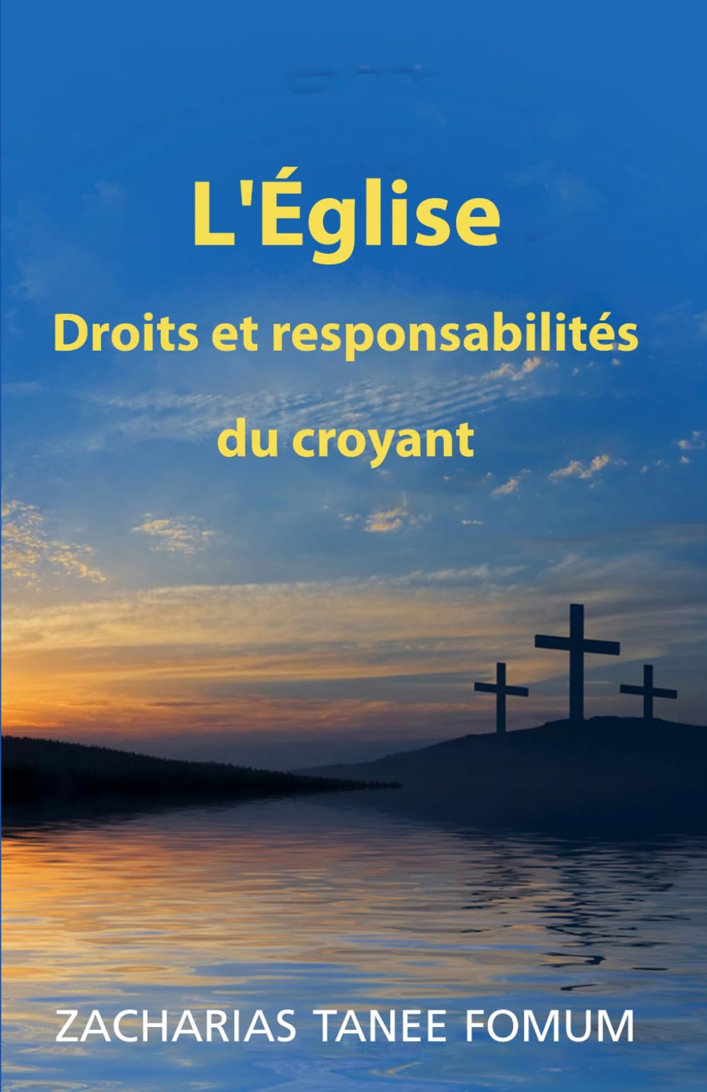 L’Église: Droits et responsabilités du croyant: 16 (Hors-Série)
