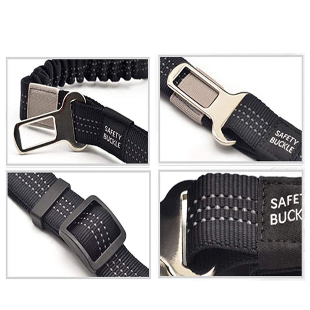 Laisse Extensible pour Chien avec Boucle de Ceinture de sécurité pour Voiture et Voiture