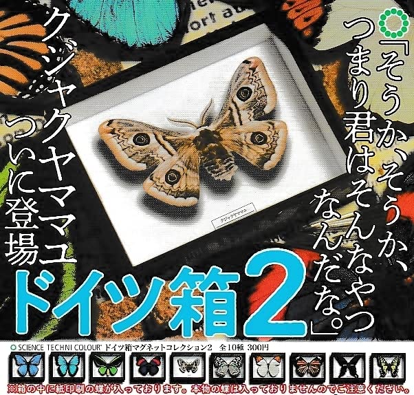 中型ドイツ箱 2個 展翅テープ・殺虫瓶・三角紙 追加あり(6/16) 中型ドイツ箱 2個 展翅テープ・殺虫瓶・三角紙 追加あり(6/16