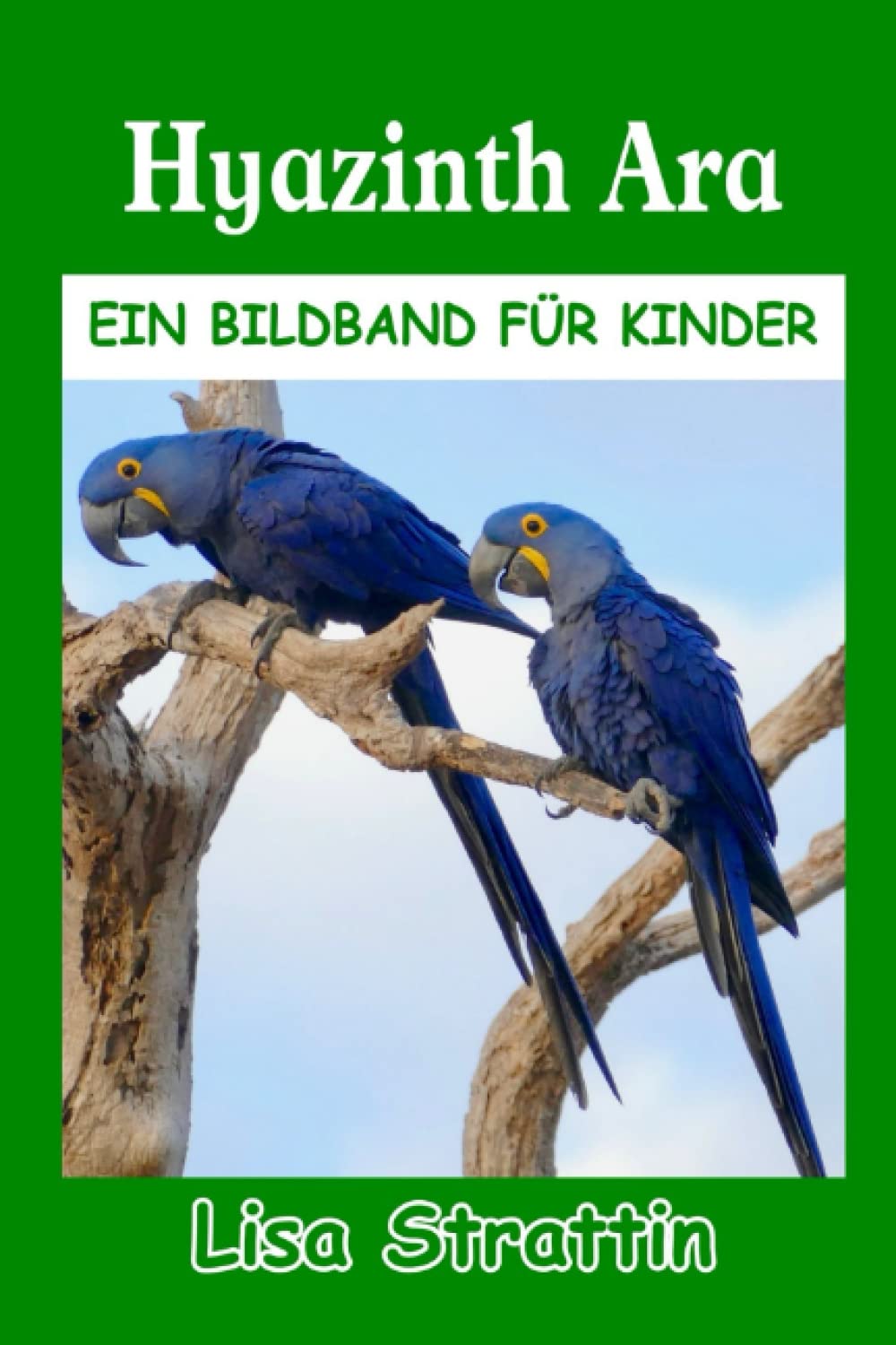 Hyazinth Ara: Kinderbuch für Kinder ab 6-8 Jahren (German Edition)