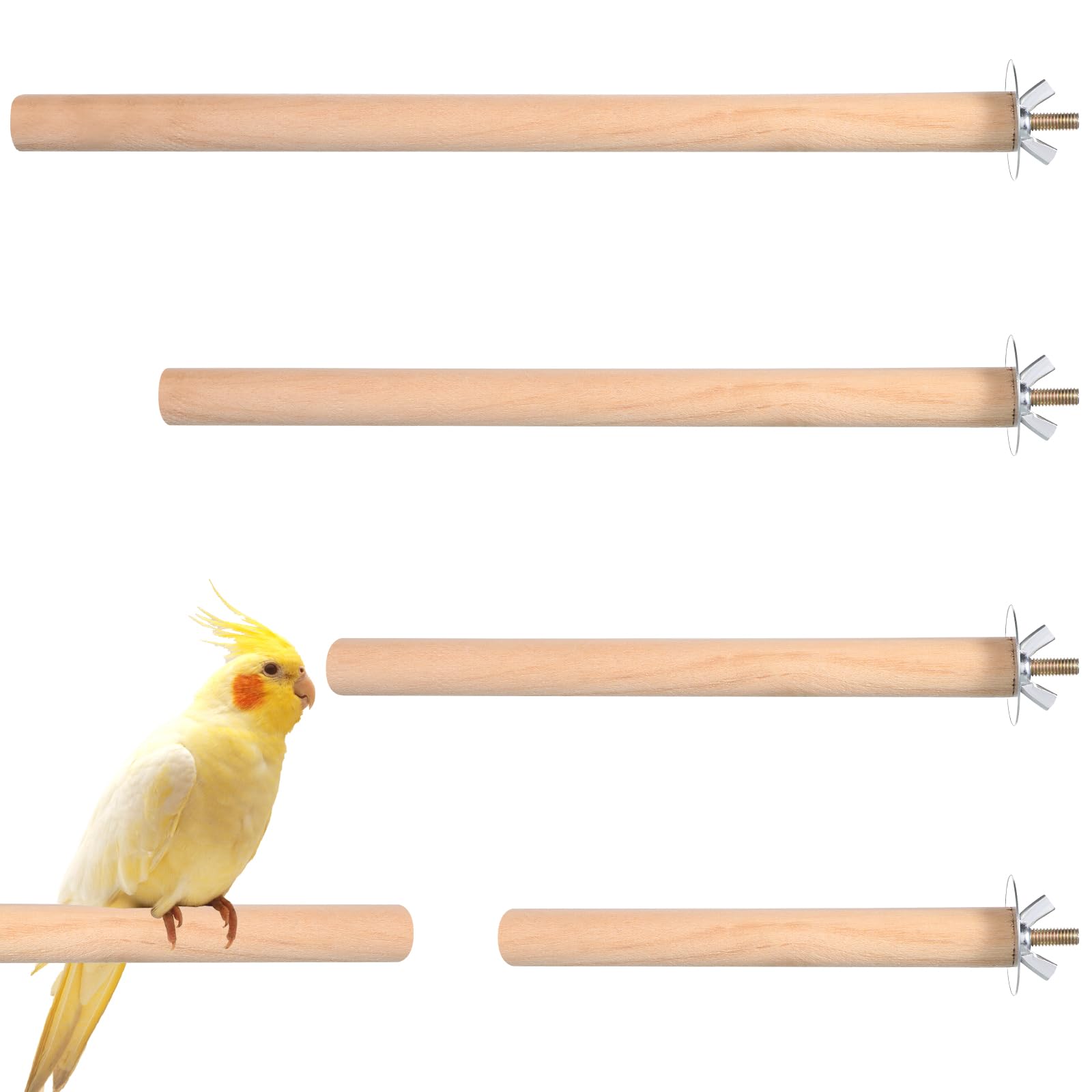 Bird Perch Wooden Parrot Perchs Stand, 4PCS Parrot Perches Toys Wood Perches with Different Widths Bird Cage Toys Cage Accessories for Macaws, Small Parakeets, Conures, Budgies, Finches