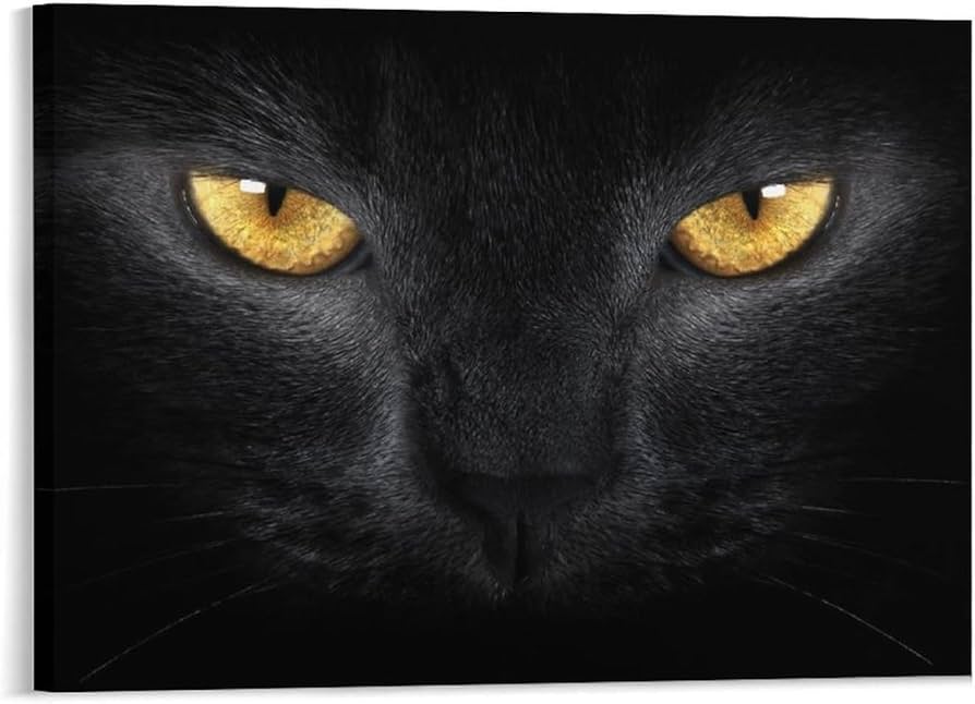 Amazon.co.jp: アートパネル ポスター 絵画 黒猫 猫の目 怖くて