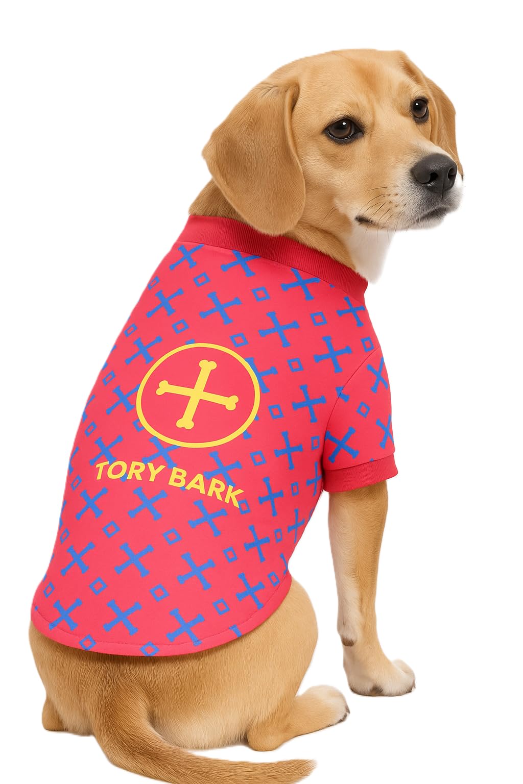 Luxury Designer Dog T Shirt – Cute Puppy Clothes for Small Dogs, Fashion Pet Tee Outfit for French Bulldogs & Chihuahuas, Everything Chic Dog Apparel