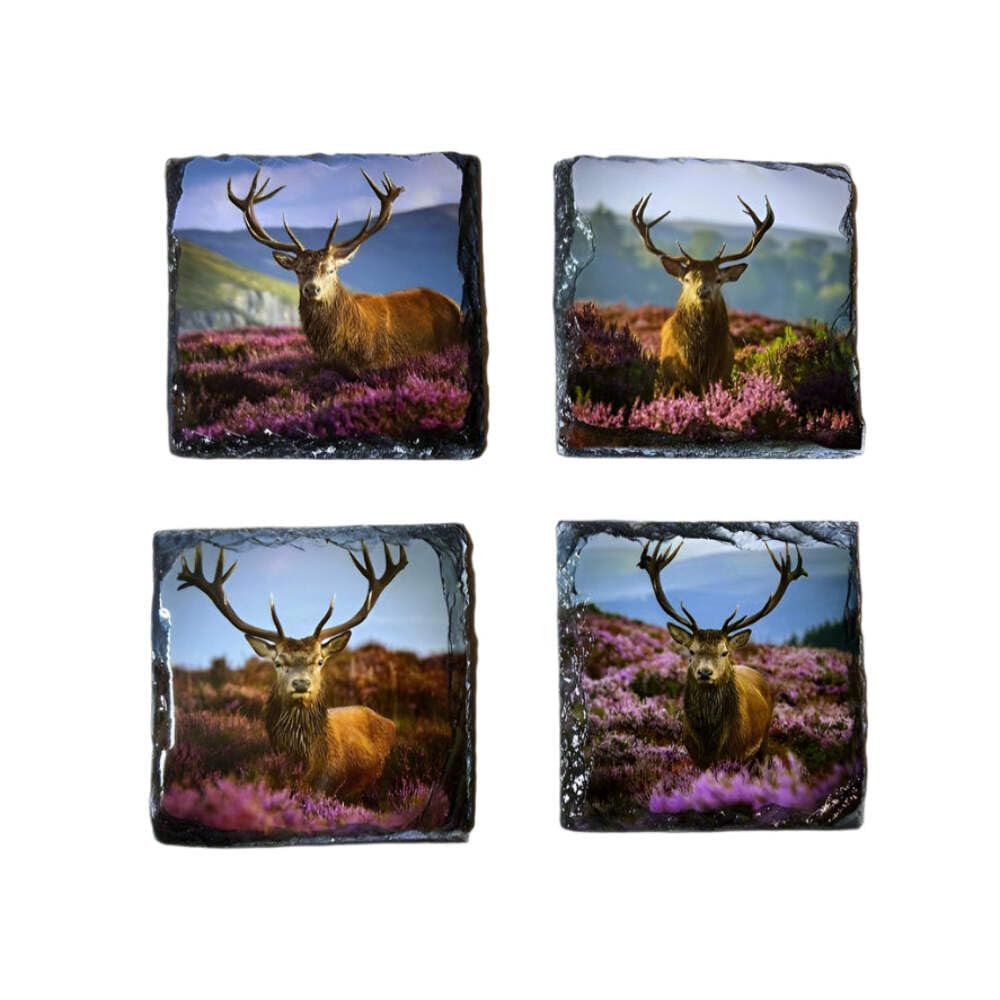 Nessie's Treasure Multicolor Scottish Stag Stone Slate Coaster Set. Highland Stag Images Surrounded By Heather Printed On Natural Slate.