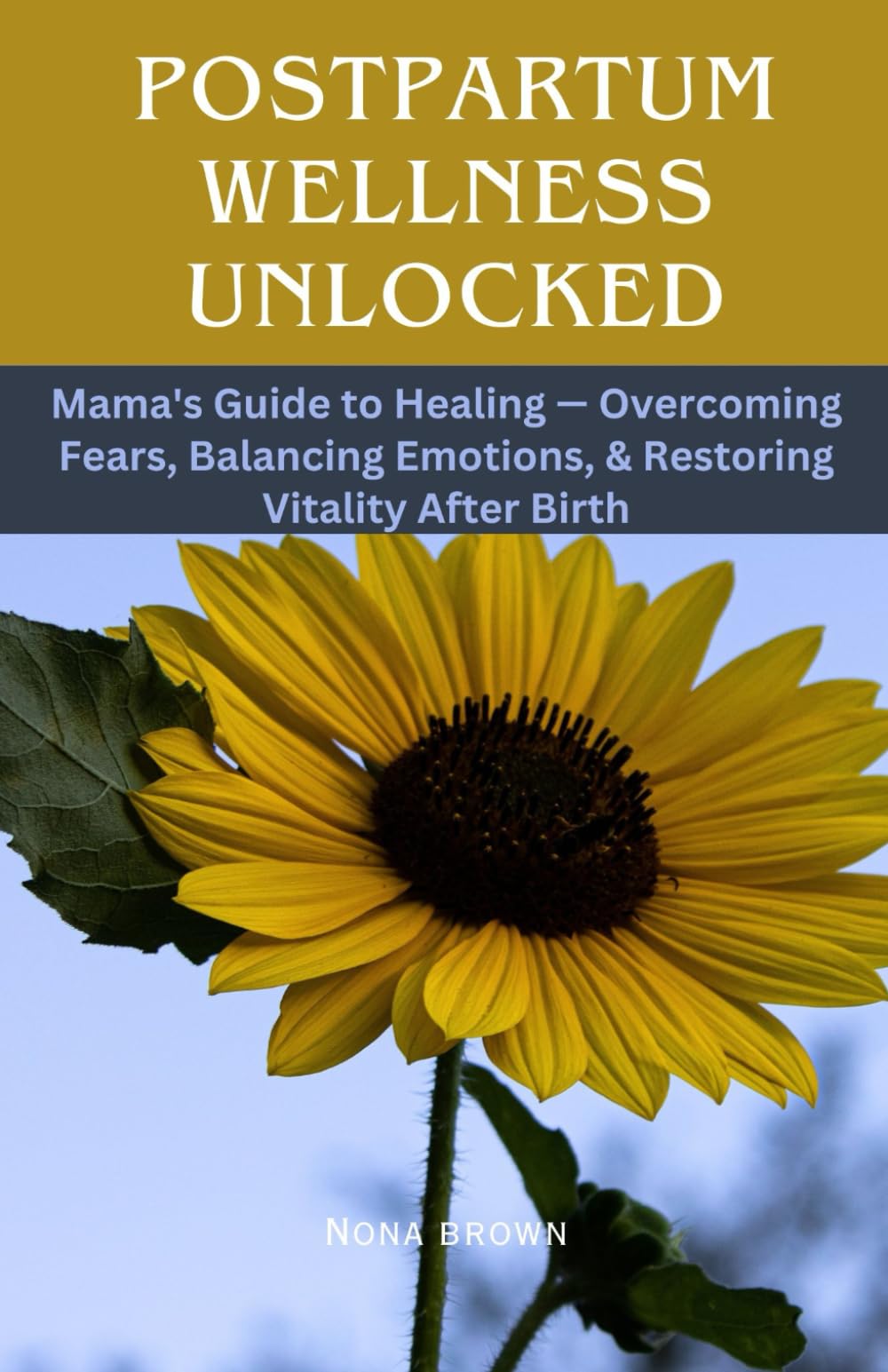 Postpartum Wellness Unlocked: Mama's Guide to Healing — Overcoming Fears, Balancing Emotions, and Restoring Vitality After Birth (RADIANT WOMAN SERIES)
