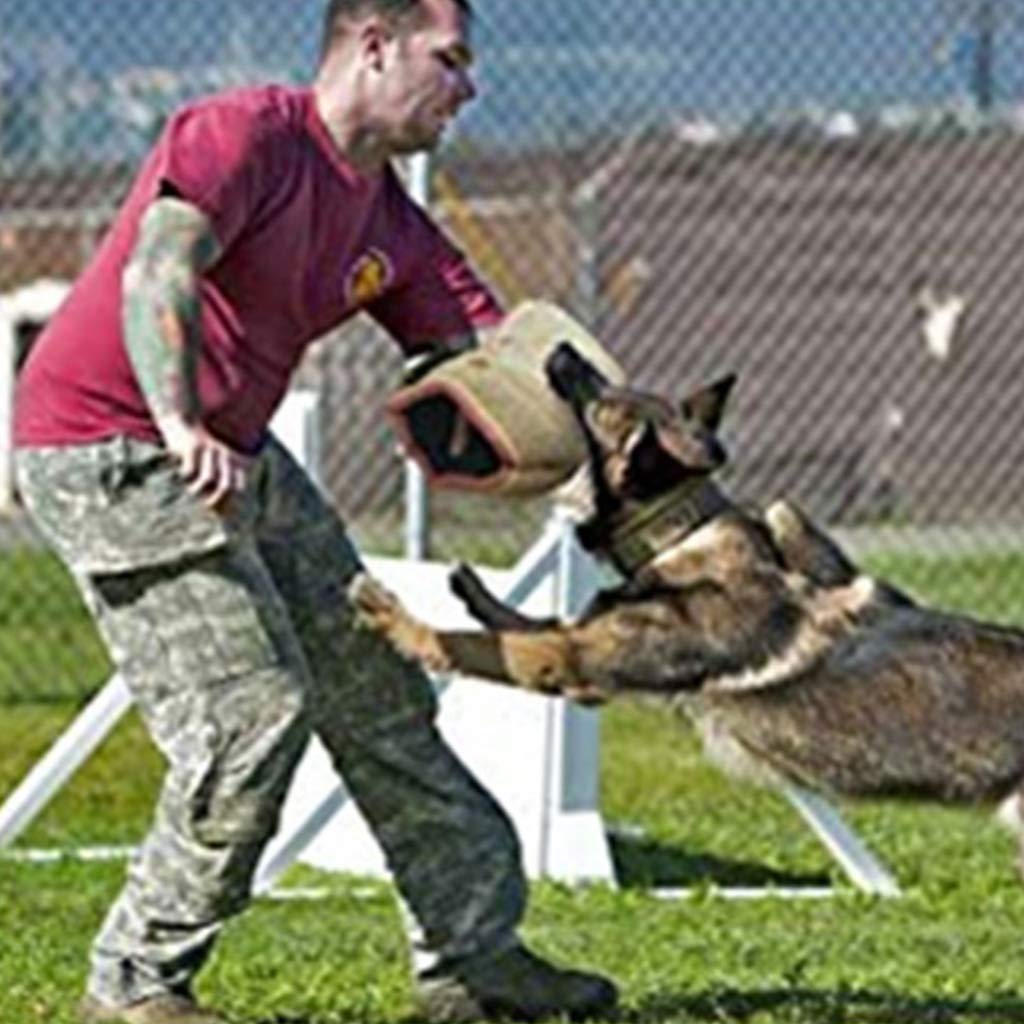 Funda gruesa para perros con asa, protector de brazo de entrenamiento para perros medianos y grandes, entrenamiento al aire libre