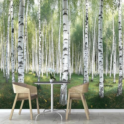 Fotomurales Decorativos Pared Abedul 3D Mural Autoadhesivo Pared Bosque Papel Pintado Tela de Seda Papel Tapiz Panorámico 250x175 cm B-4772
