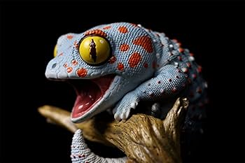 Amazon.co.jp: 博物志 ガチャガチャ ブラインド ボックス