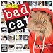 Bad Cat Wall Calendar 2016