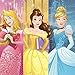 American Greetings Disney Princess Paper Lunch Napkins, 16-Count