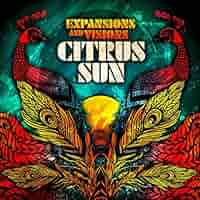 Citrus Sings In Melodydecorder シトラス 廃盤CD Citrus Sings In Melodydecorder シトラス 廃盤CD Citrus Sings
