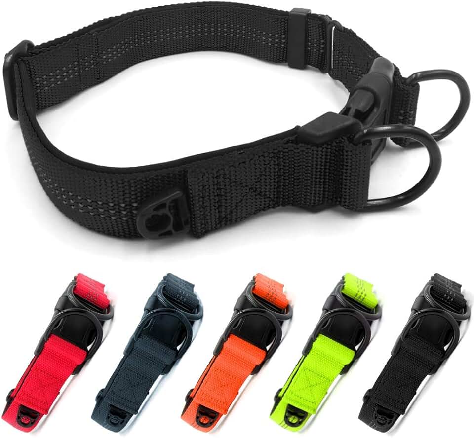 Basic Dog Collars Amazon.co.uk