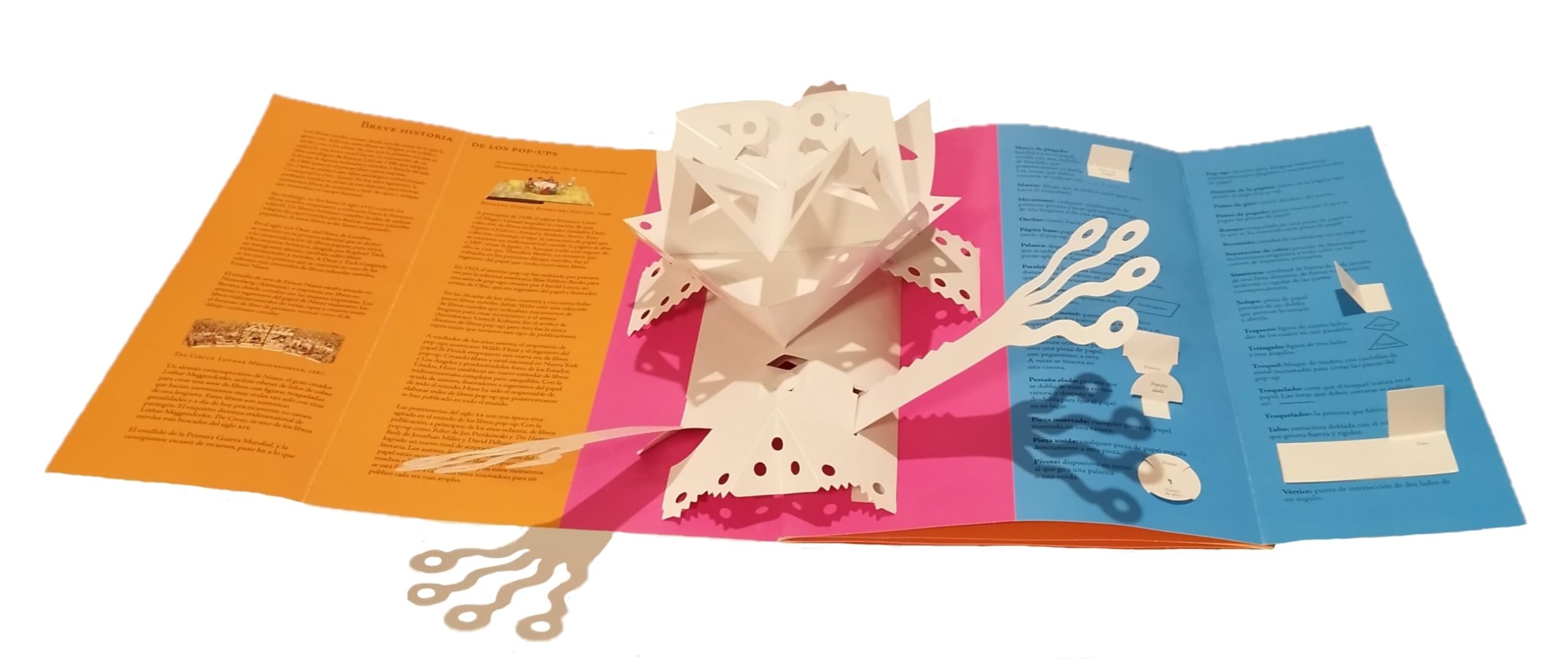 Los elementos del pop-up (SIN COLECCION)