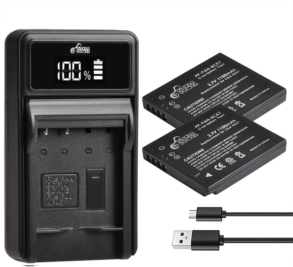 Battery Charger DMW-BCF10E for Panasonic Lumix Digital DE-A60 DMC-FS25 DMC- FS15 DMC-FP8 DMC-PS1 DMC-TS1 DMC-TS2 DMC-TS3 DMC-TS4 DMC-F2 DMC-F3 DMC-F4 DMC-FH1 DMC-FH3 DMC-FH20 DMC-FS4 DMC-FS6 DMC-FS7