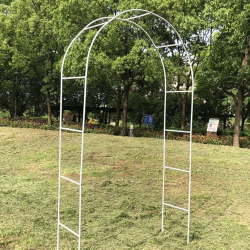 Pergola de jardin en métal antirouille - Treillage stable avec base - Idéal pour plantes grimpantes - Décoration de fête en plein air - Blanc - 300 x 250 cm (l x H)