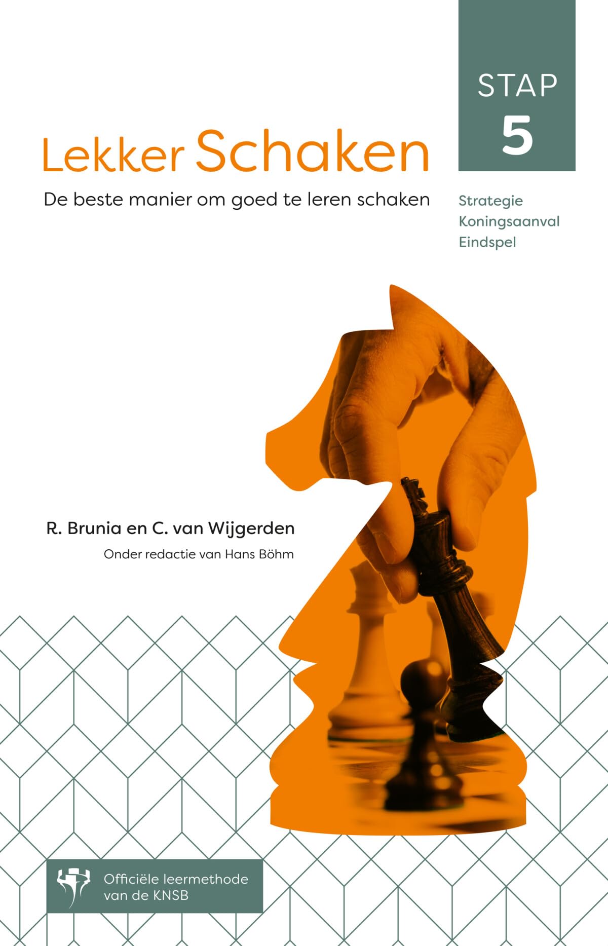 Lekker schaken: de beste manier om goed te leren schaken
