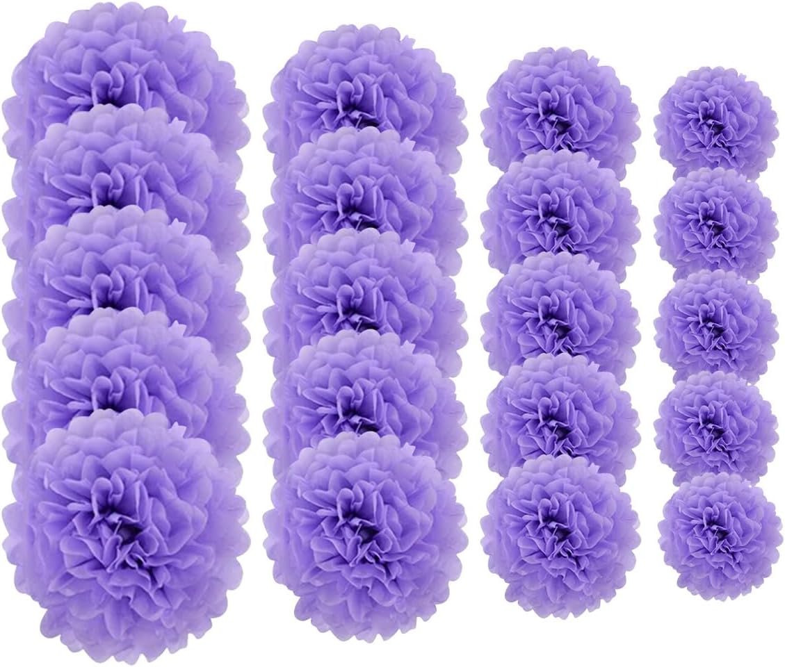 ECYC Ltd 20 Pcs Hanging Tissue Paper Pom Poms Decorations,Tissue Paper Flower Balls Tissue Paper Pompom Flowers for Wedding, Bridal Shower, Baby Shower, Birthday Party, Sizes of 6", 8", 10", 12"