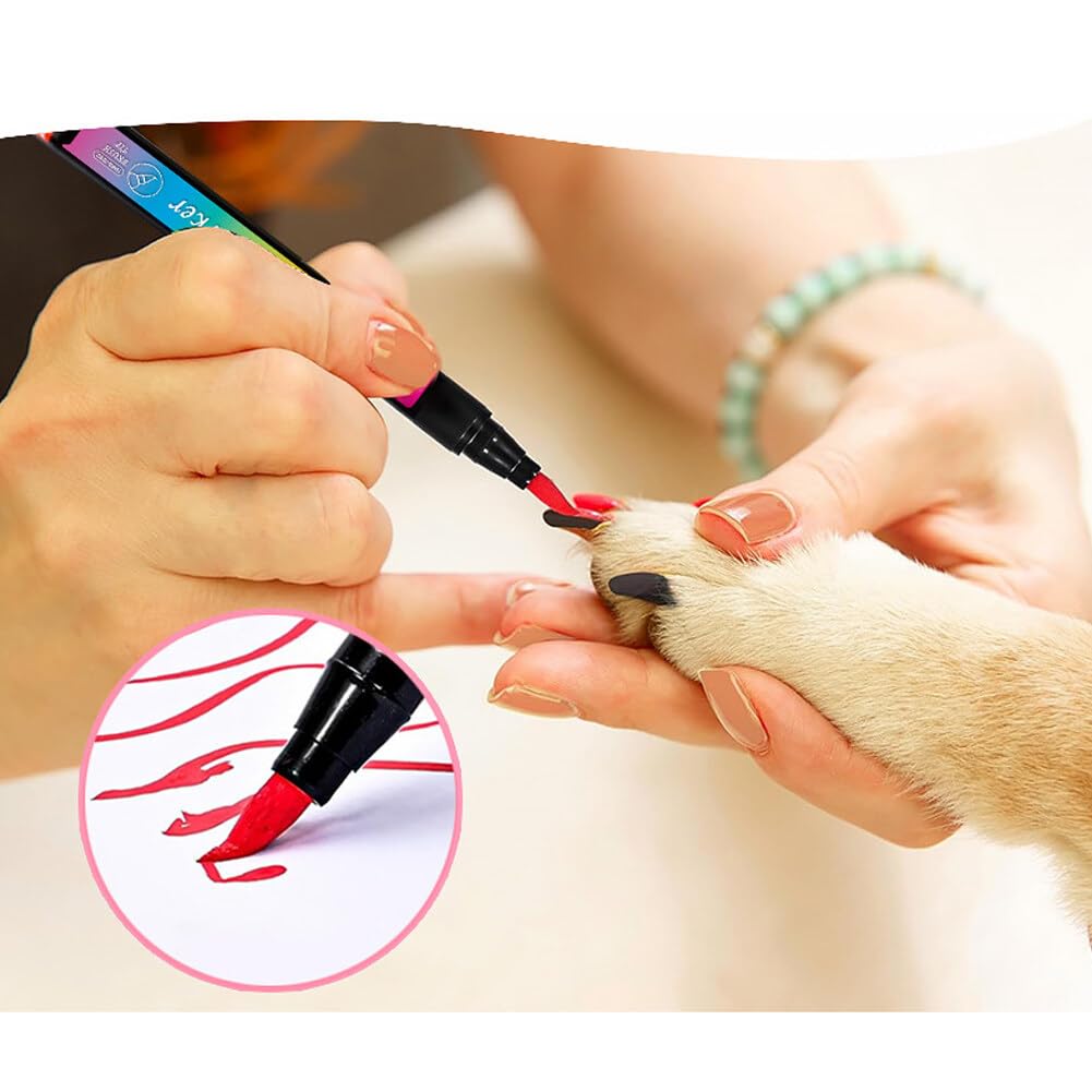 48 Couleurs Marqueurs Acrylique, Marqueur Pointe Extra-Fine, Marqueur Peinture À Base D'Eau Séchage rapide, pour toile, plastique, métal, bois et pierre, Stylo à ongles pour animaux de compagnie