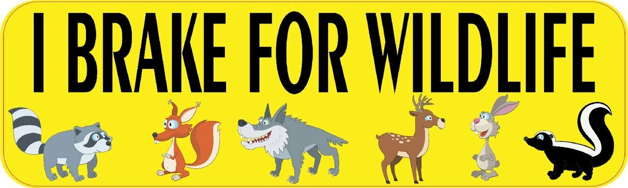 StickerTalk I Brake for Wildlife Magnet, 10 inches by 3 inches