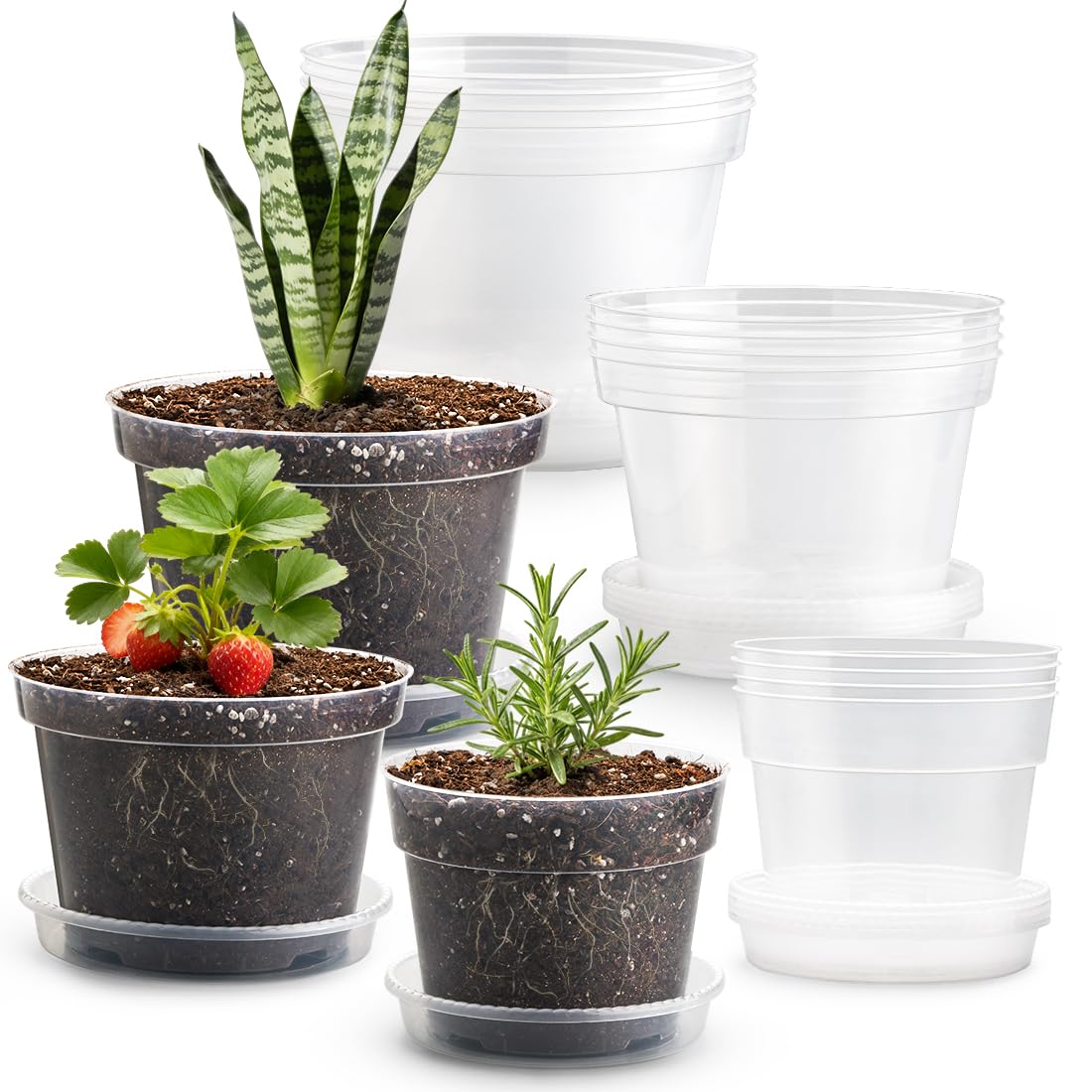 RooTrimmer Pots