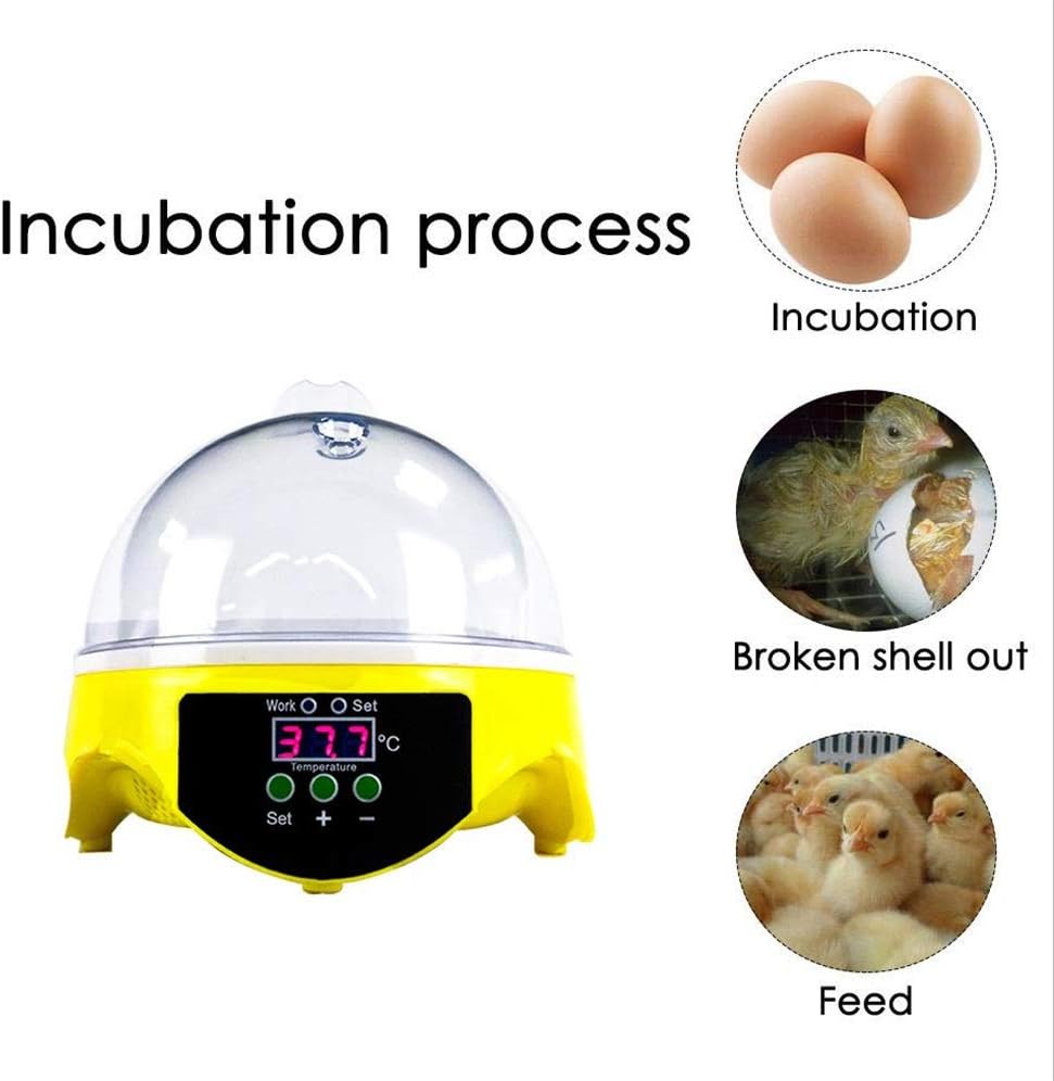 Mini 7 Egg Incubator, Automatic Digital Temperature Control Poultry Hatcher fltry Hatcher for Hatching Chicken Geese Duck Birds