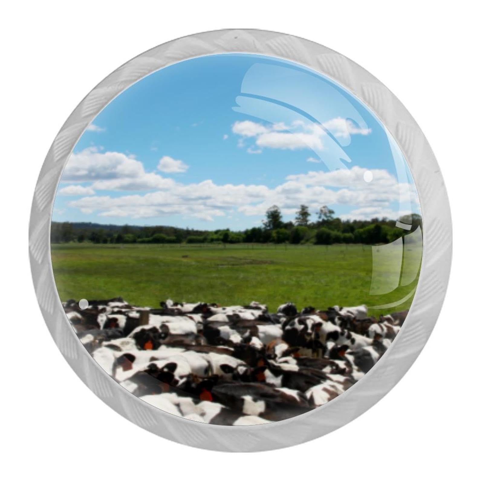 Tqmspg Multi20 4 Pieces Drawer Pulls Cows Door Knobs Dresser Handles For Kitchen Wardrobe Cupboard Hardware Furniture