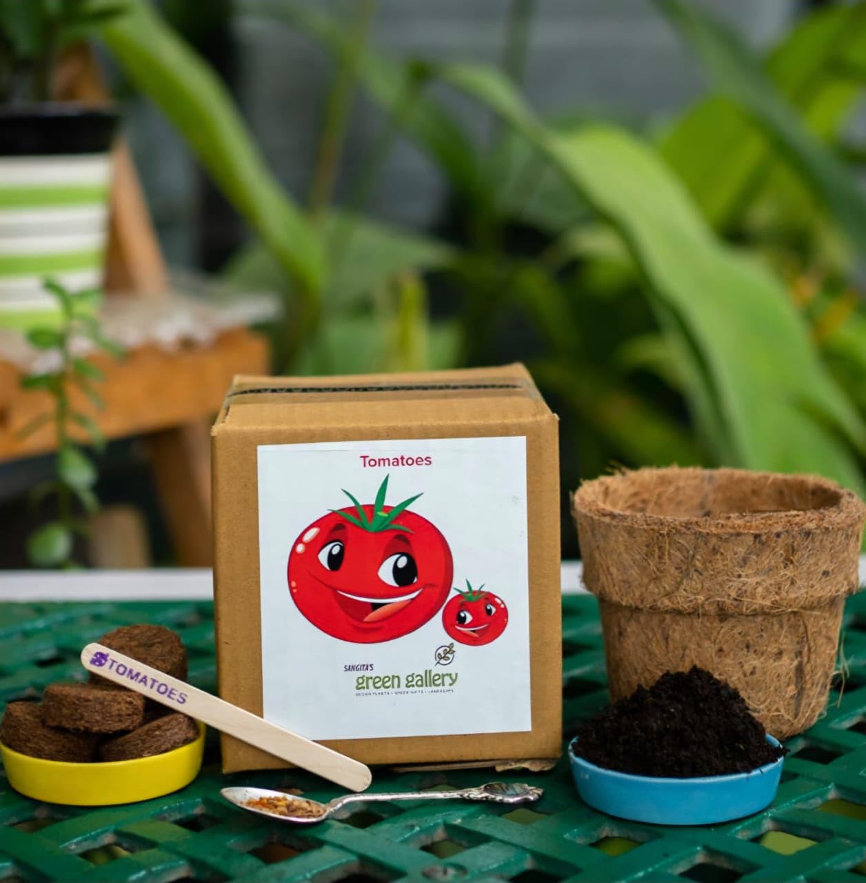 DIY Gardening Kit - Grow Flowers, Herbs and vegetables | Seed set with pot, cocopeat and tools | Perfect for Home, Balcony or kitchen garden | (Tomatoes)