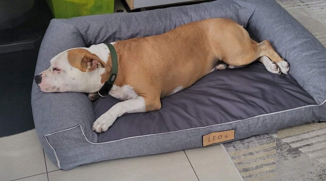 Hundebett für Große Hunde Waschbar, Hundekissen Grau Groß, Hundematte Grosse Hunde, 118 x 78 cm, mit Gravieren Namen, Hundesofa XXL Abnehmbarem Bezug