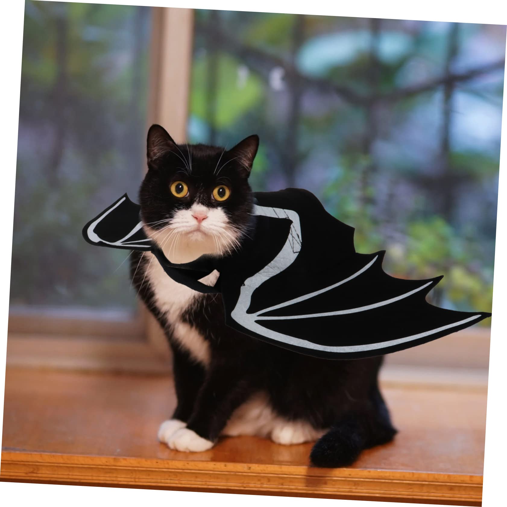 Didiseaon 3pezzi Costume Per Gatti Con Da Pipistrello Accessori Per Halloween Pet Cosplay Creativo Per Cani e Gatti Per Feste e Occasioni Speciali