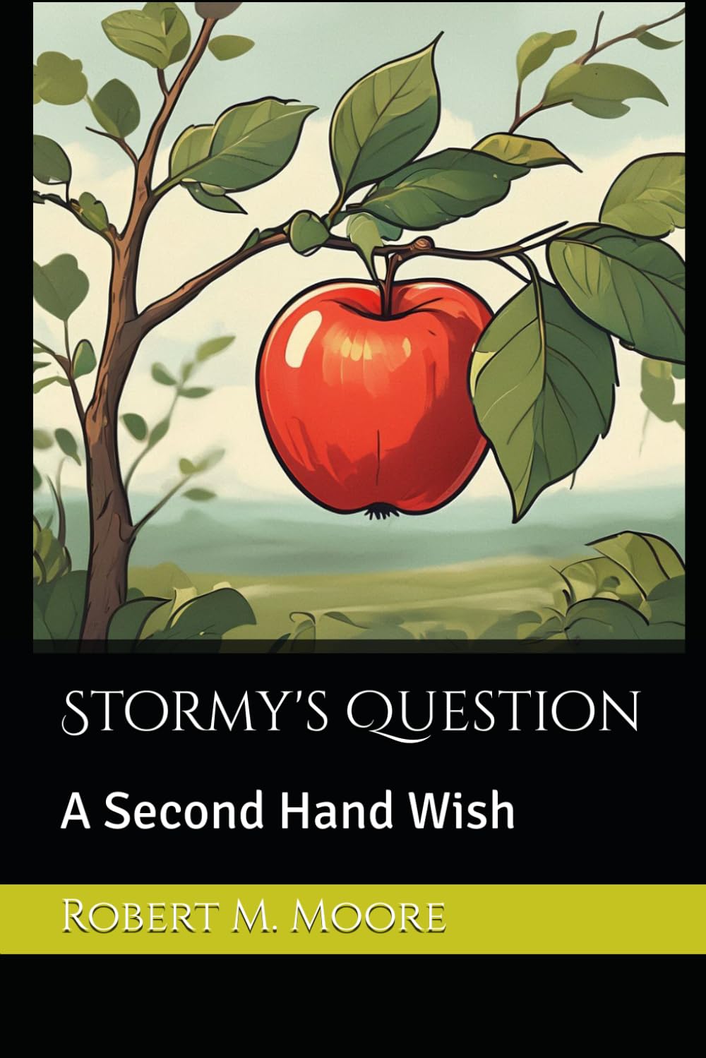 Stormy's Question: A Second Hand Wish