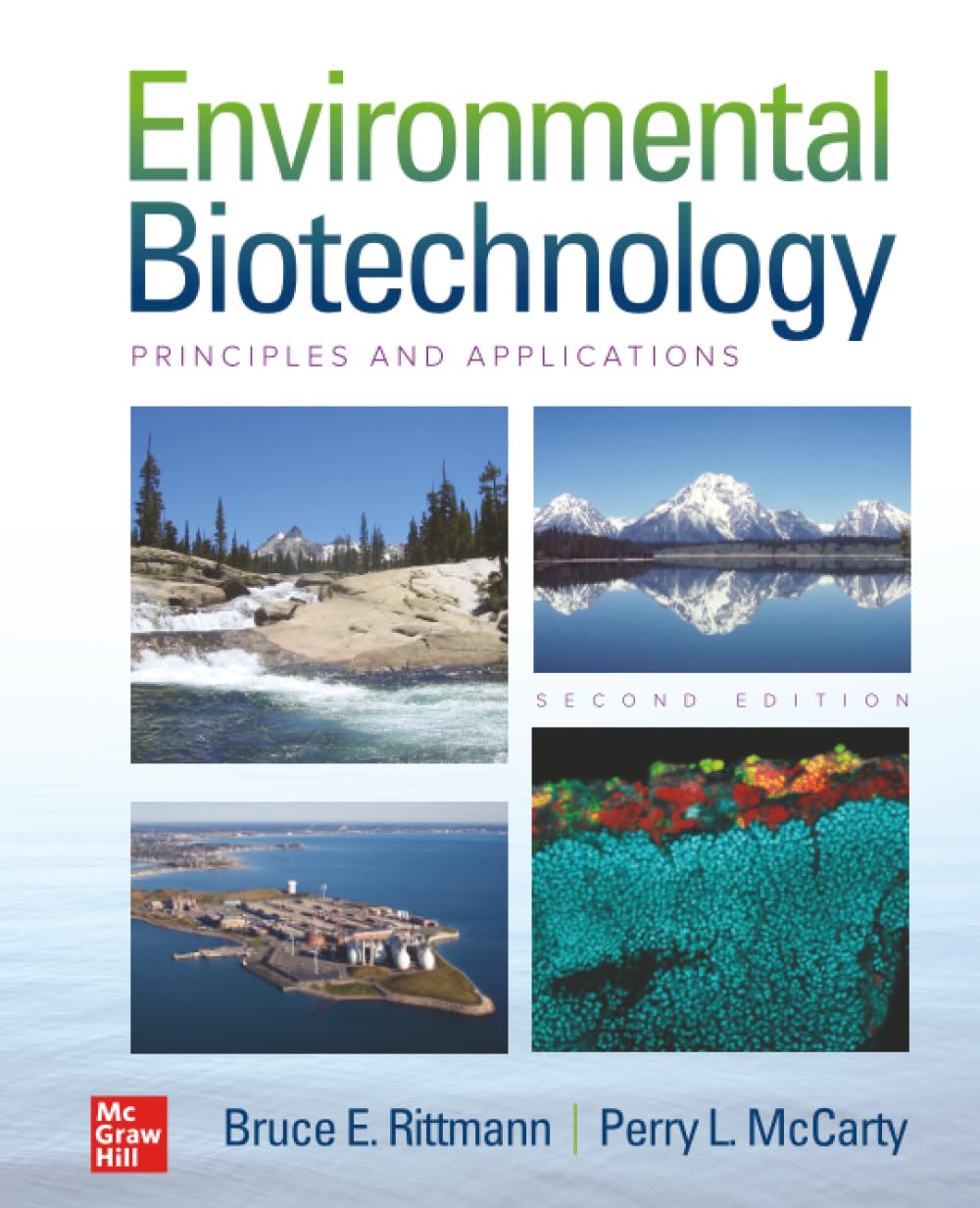 Environmental Biotechnology maîtriser la biorestauration des sols