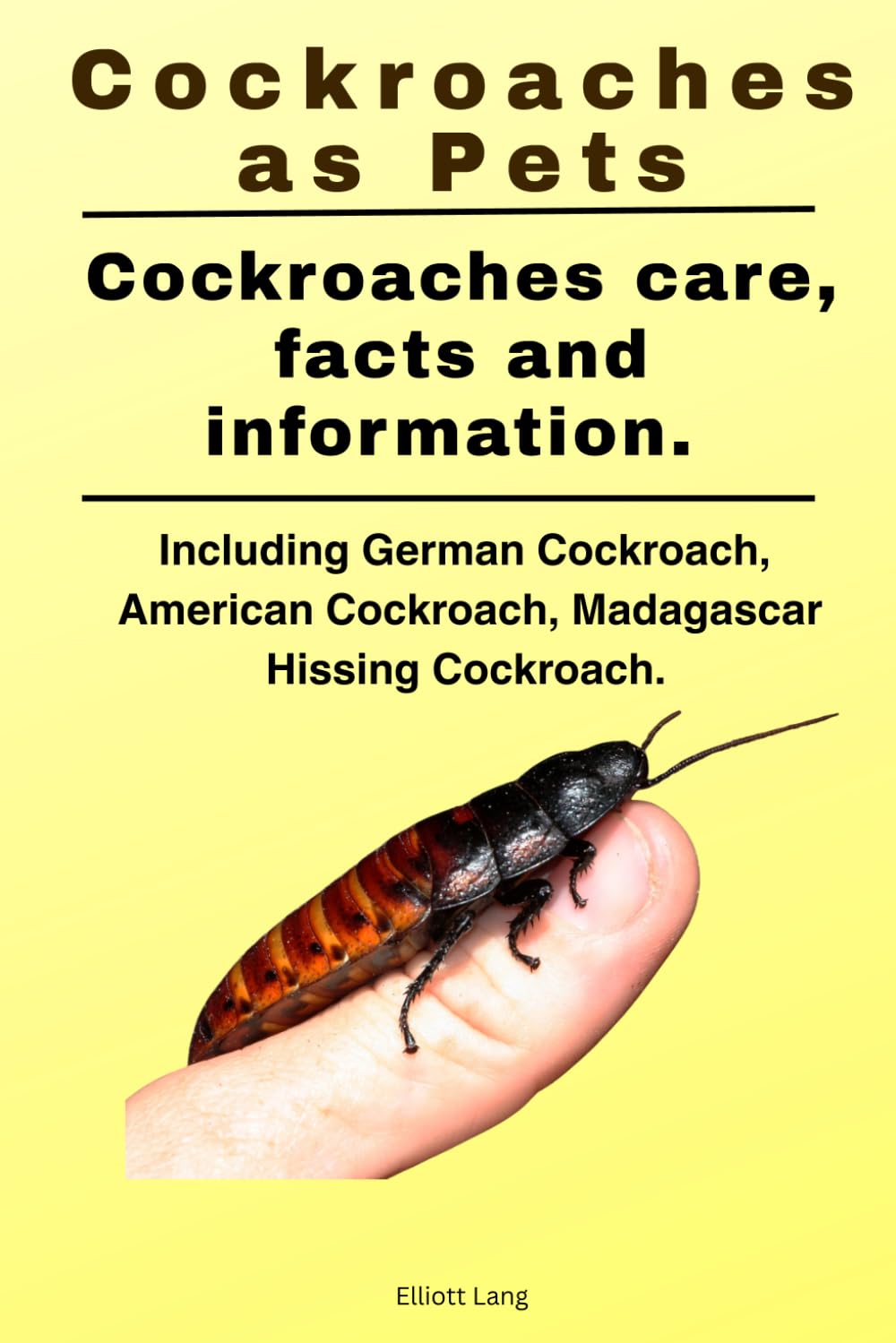 Cockroaches as Pets. Cockroaches care, facts and information. Including German Cockroach, American Cockroach, Madagascar Hissing Cockroach.