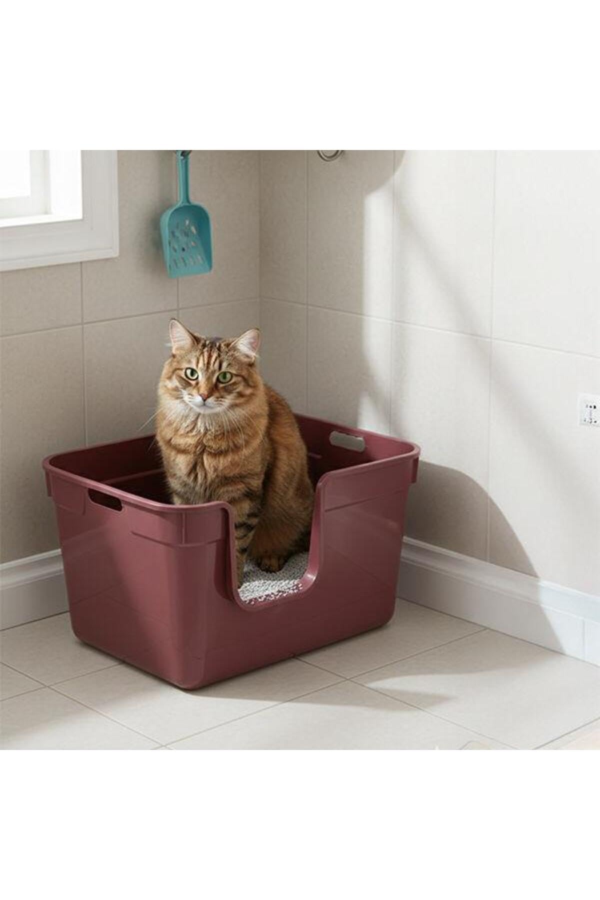 Tanos Yarı Açık Kedi Tuvaleti 54x40x32 - Bordo