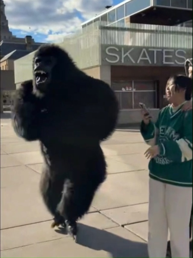 Amazon.com: Piamif Inflatable Gorilla costume for Adult, Air Blow