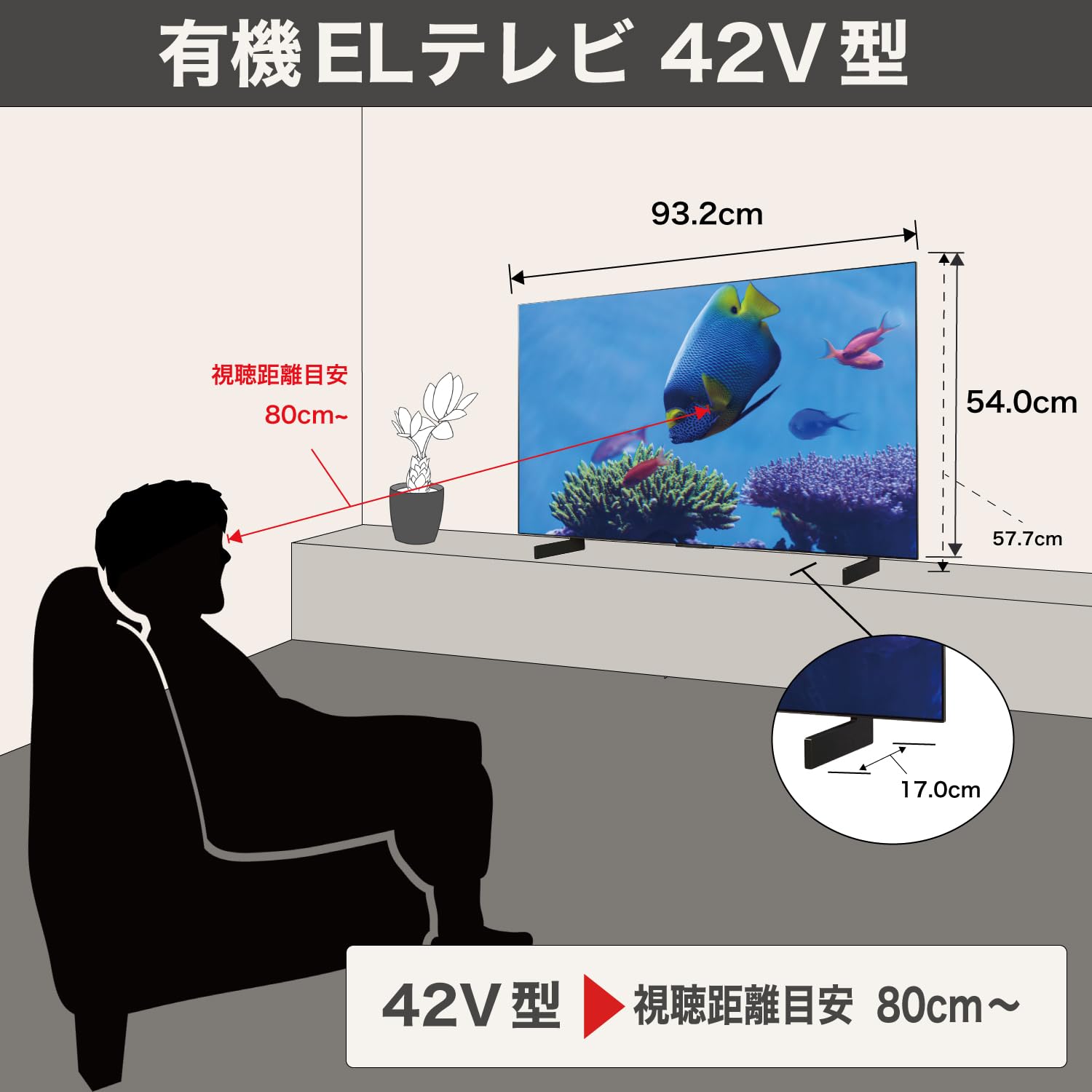 Amazon | LG 有機EL テレビ 42V型 4Kチューナー内蔵 OLED42C5PJA