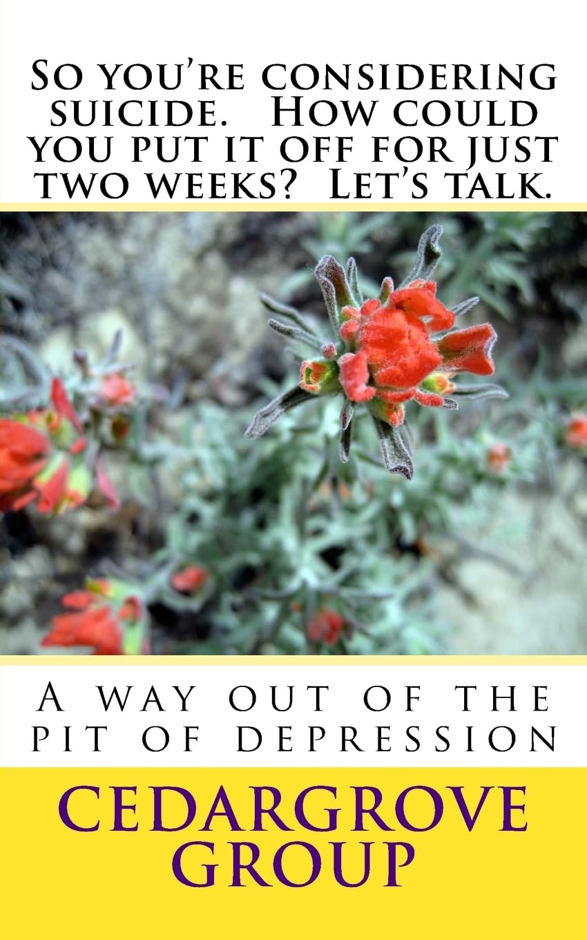 So you're considering suicide. How could you put it off for just two weeks? Let's talk.
