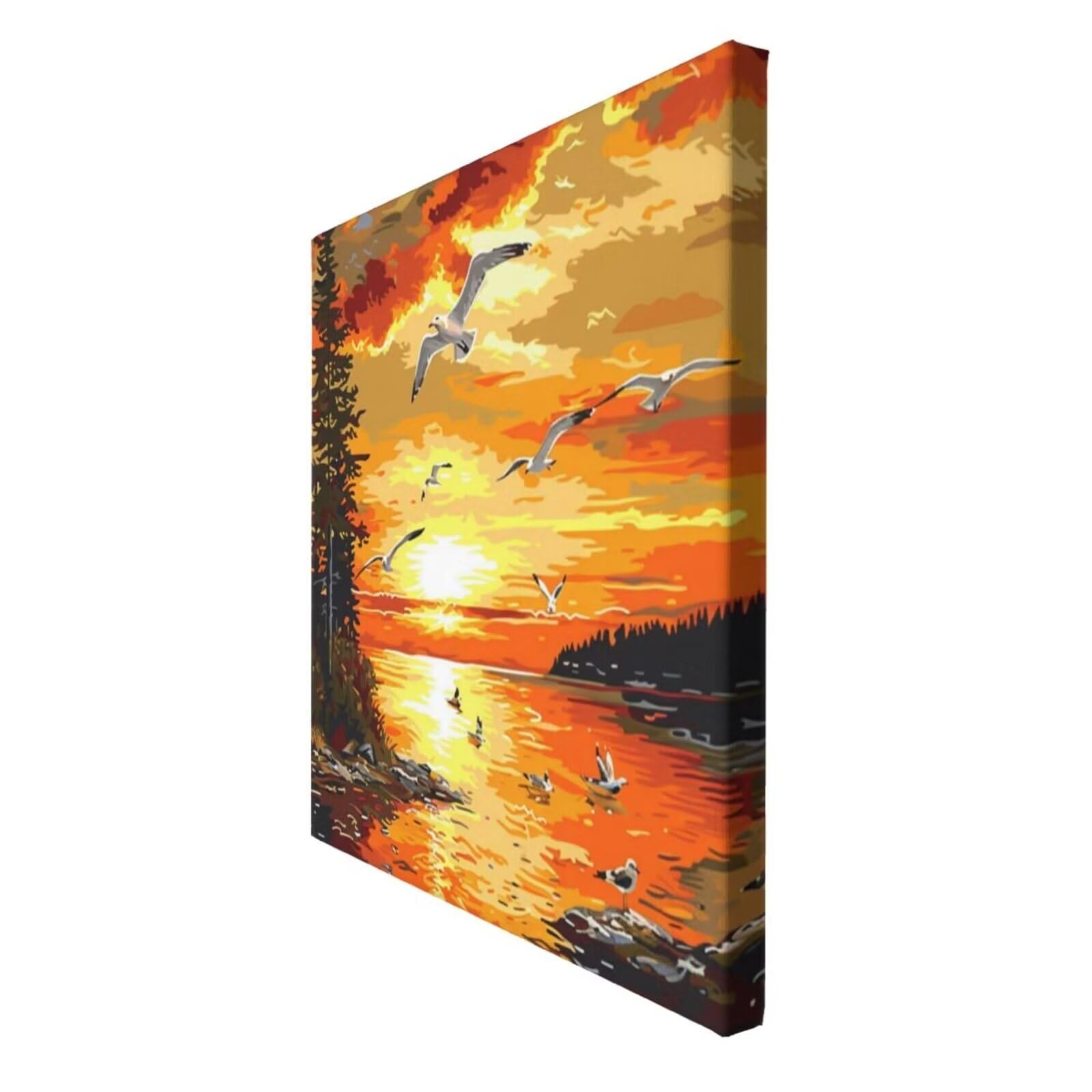 Amazon.co.jp: Paint By Numbers カモメ、夕焼け 数字油絵 フレーム