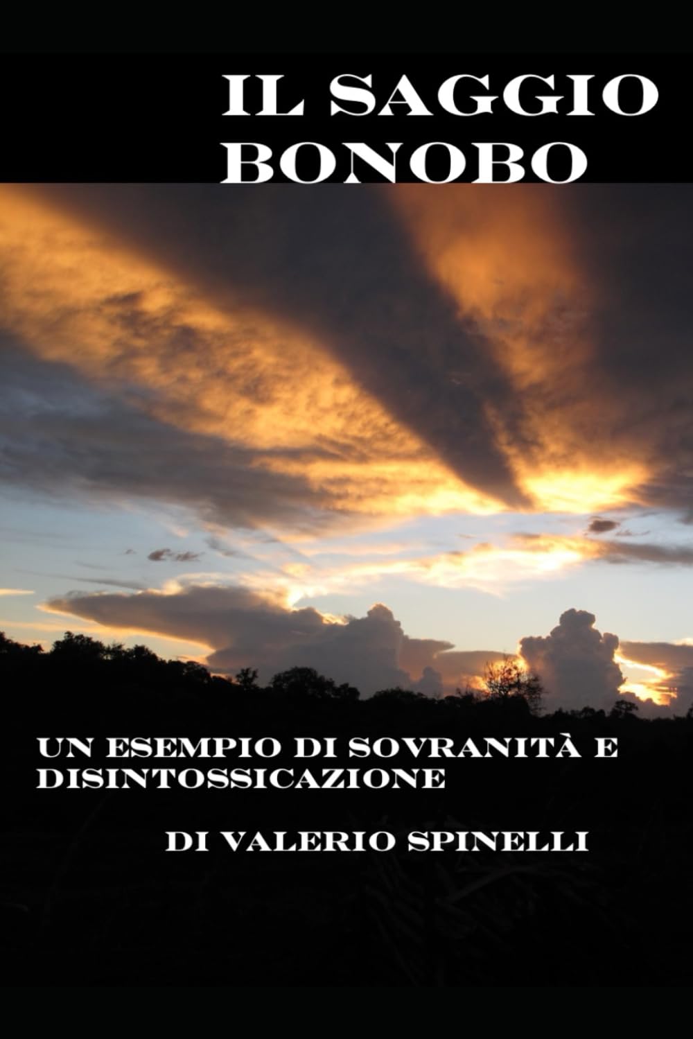 IL SAGGIO BONOBO: Un esempio di sovranità e disintossicazione