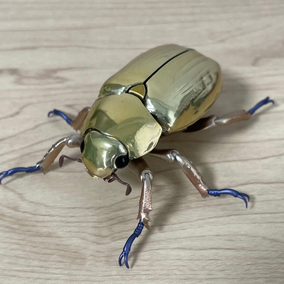 お買い得　アウリガヌスキンイロコガネ　27mm Amazon | プラチナコガネ（ゴールド） いきもの大図鑑アドバンス