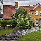 Kiesgitter Gehweggitter, Hochleistungs-Geogitter-Erbsenkies-Stabilisator/ Schlammerosionsschutzgitter Für Terrassendamm Im Freien, Fundamentgitter Pflastern Für Feuchten Lehmbereich Mit Hangwand