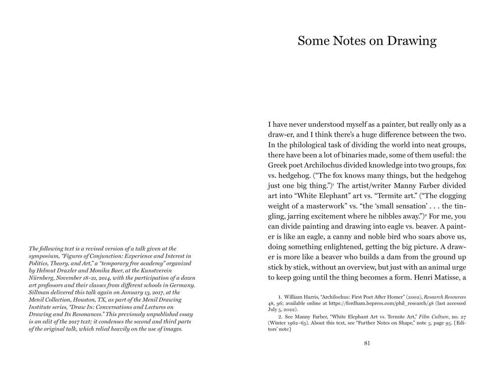 Faux Pas. Selected Writings and Drawings of Amy Sillman /anglais