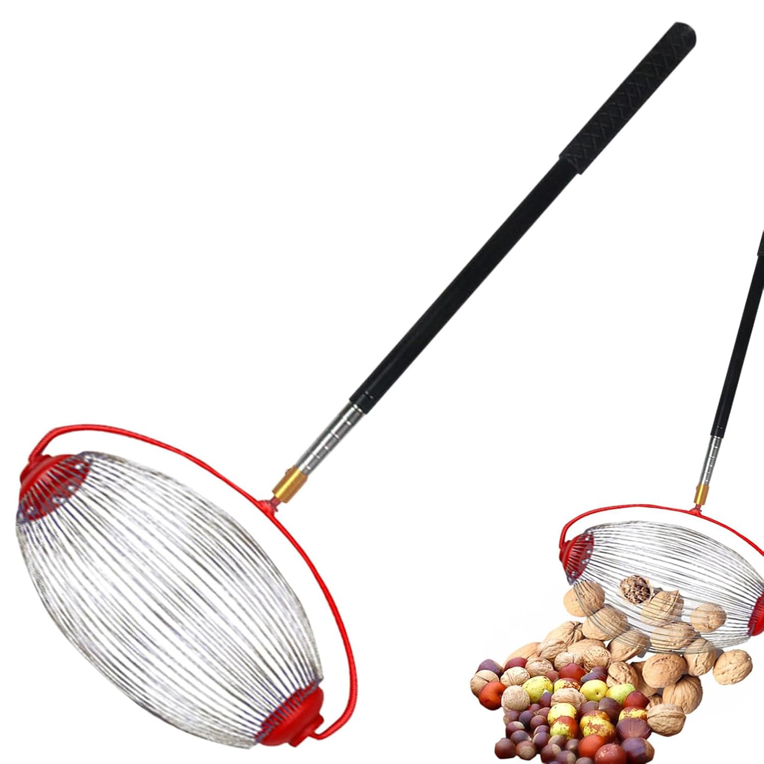 Eznaobo 59" Acorn Collector, Nut Picker Tool, Nut Gatherer, Apple Collector Roller, Telescopic Nuts Collector For Acorn,Walnut, Hickory, Chestnuts, Buckeyes, Golf (L)
