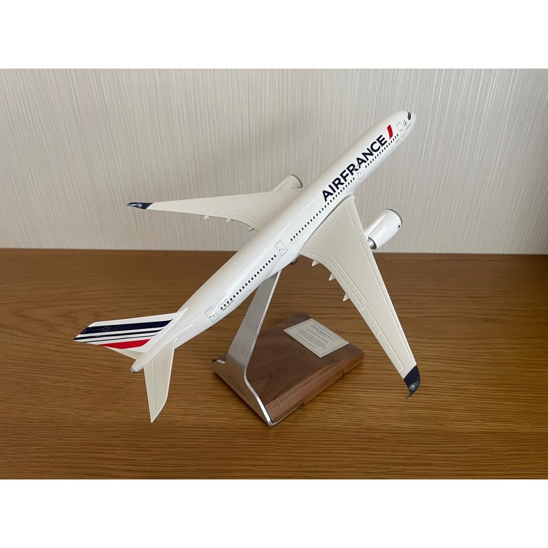 Amazon.co.jp: pacmin air FRANCE 1/200 A350ー900 : ホーム＆キッチン