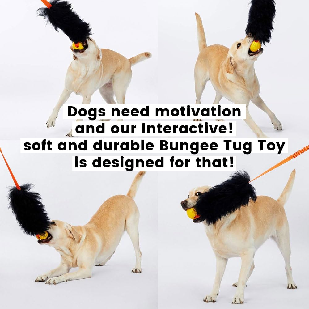HOWGO Giocattolo per cani con corda, Giocattolo Bungee Chaser per cani 100% pelle di pecora, Giocattolo da tirare con odore di pecora per tutte le razze (Nero, Corto Senza Palla)